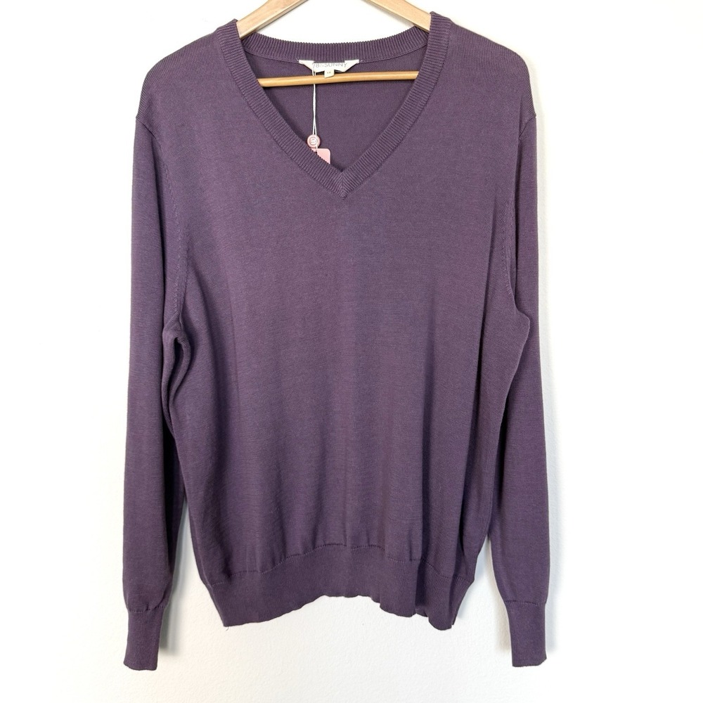 78 & Sunny V Neck Long Sleeve Sweater Womens 1X Preppy Knit Dusty Grape Purple